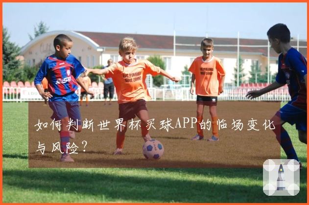 如何判断世界杯买球APP的临场变化与风险？
