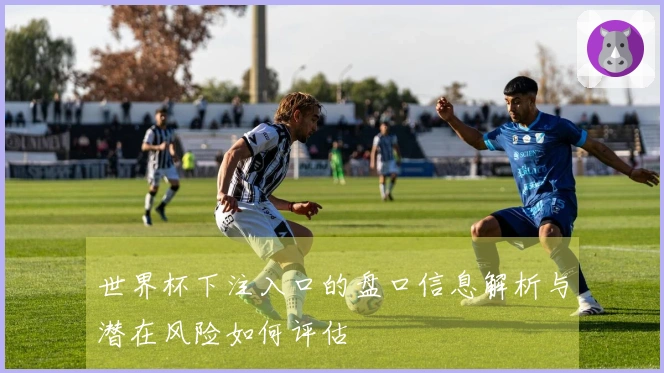 世界杯下注入口的盘口信息解析与潜在风险如何评估