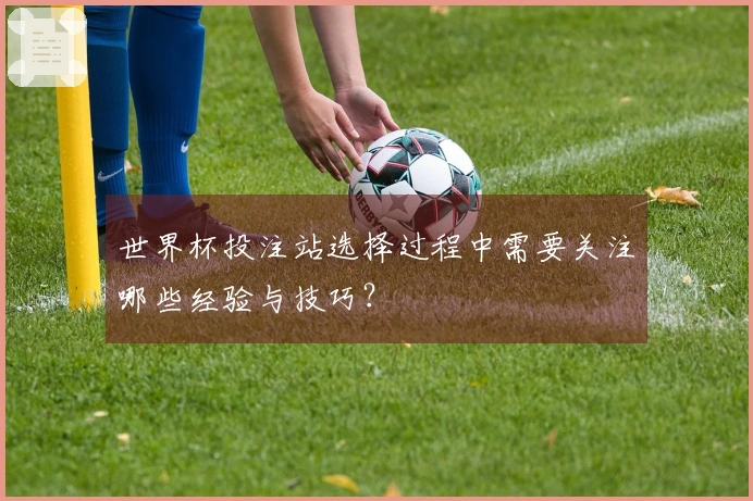 世界杯投注站选择过程中需要关注哪些经验与技巧？
