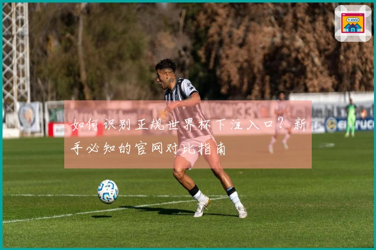 如何识别正规世界杯下注入口？新手必知的官网对比指南