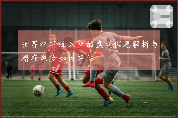 世界杯下注入口的盘口信息解析与潜在风险如何评估