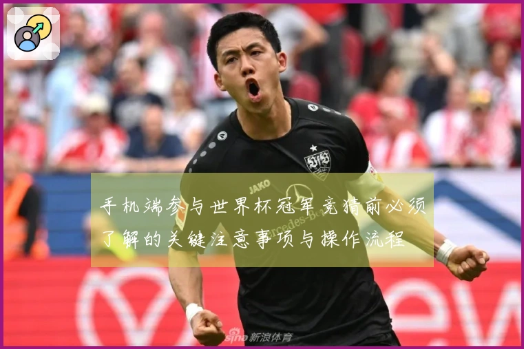 手机端参与世界杯冠军竞猜前必须了解的关键注意事项与操作流程