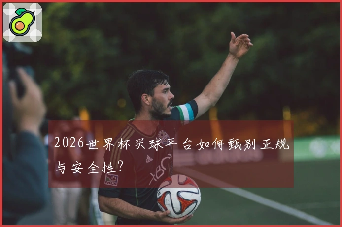 2026世界杯买球平台如何甄别正规与安全性？