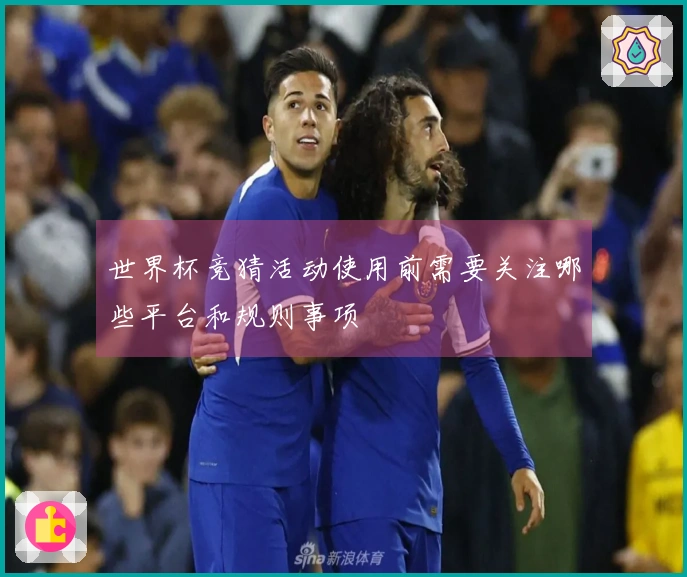 世界杯竞猜活动使用前需要关注哪些平台和规则事项