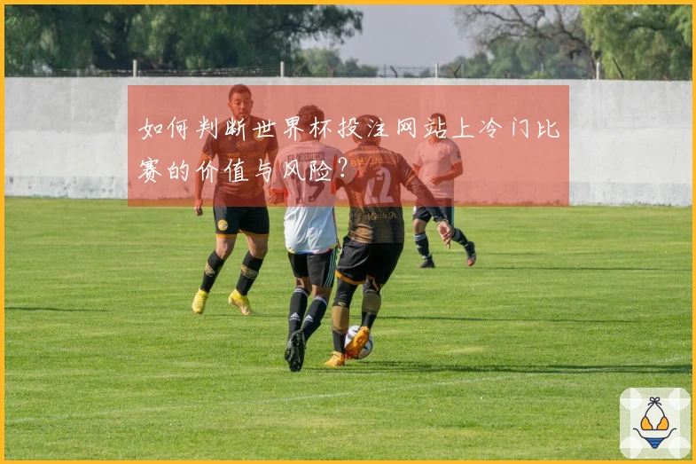 如何判断世界杯投注网站上冷门比赛的价值与风险？