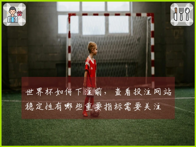世界杯如何下注前，查看投注网站稳定性有哪些重要指标需要关注
