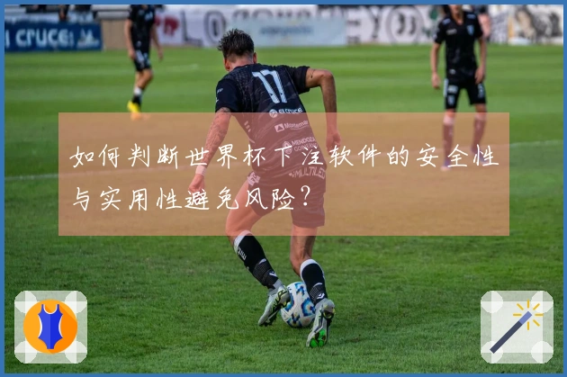 如何判断世界杯下注软件的安全性与实用性避免风险？