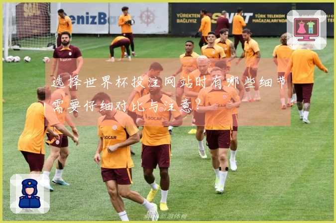 选择世界杯投注网站时有哪些细节需要仔细对比与注意？