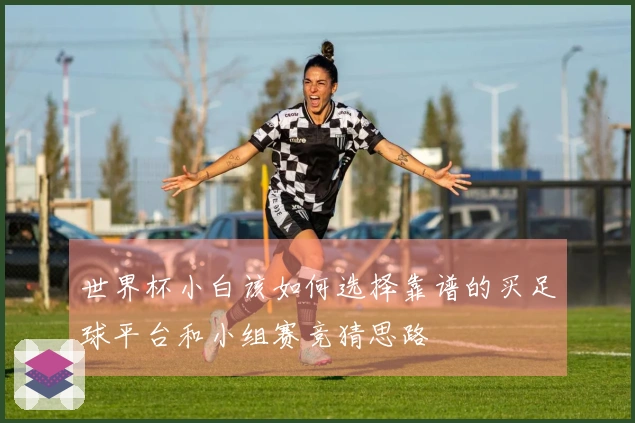 世界杯小白该如何选择靠谱的买足球平台和小组赛竞猜思路