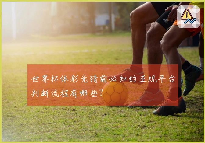 世界杯体彩竞猜前必知的正规平台判断流程有哪些？