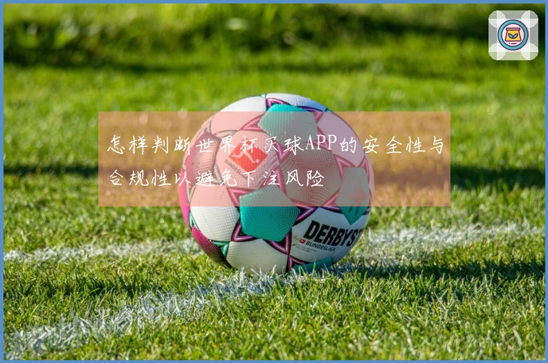 怎样判断世界杯买球APP的安全性与合规性以避免下注风险