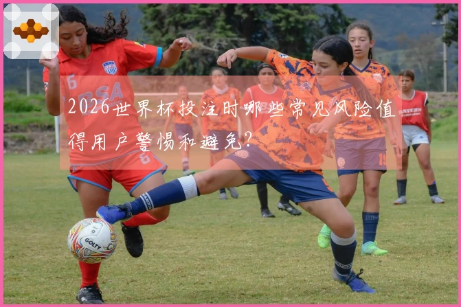 2026世界杯投注时哪些常见风险值得用户警惕和避免？