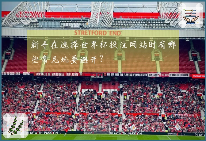 新手在选择世界杯投注网站时有哪些常见坑要避开？