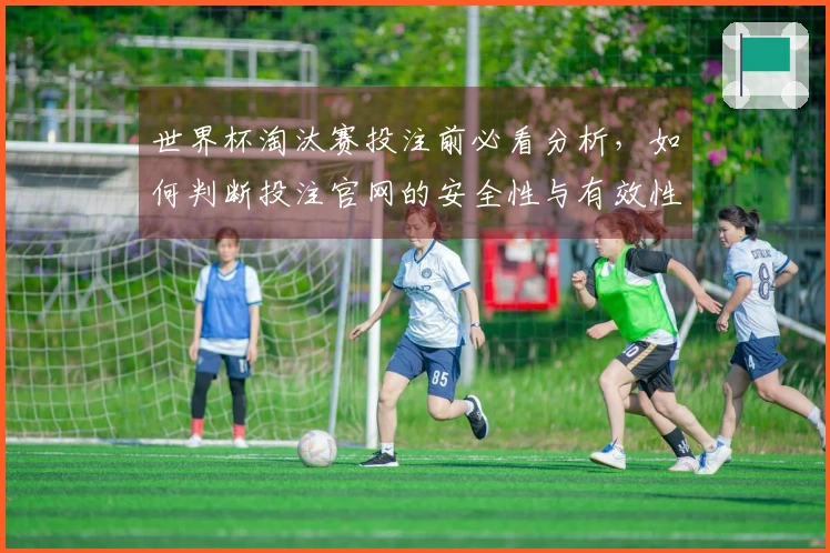 世界杯淘汰赛投注前必看分析，如何判断投注官网的安全性与有效性