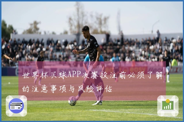 世界杯买球APP决赛投注前必须了解的注意事项与风险评估