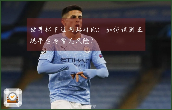 世界杯下注网站对比：如何识别正规平台与常见风险？
