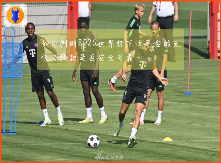 如何判断2026世界杯下注平台的充值与提款是否安全可靠