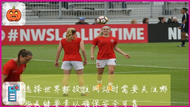 选择世界杯投注网站时需要关注哪些关键要素以确保安全可靠