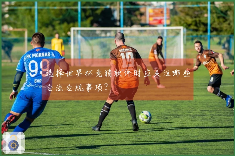 选择世界杯竞猜软件时应关注哪些合法合规事项？