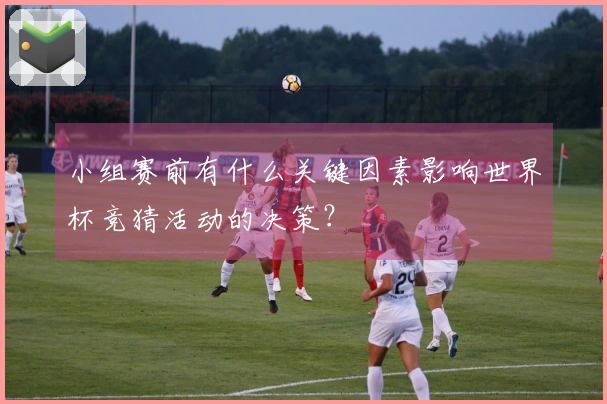 小组赛前有什么关键因素影响世界杯竞猜活动的决策？