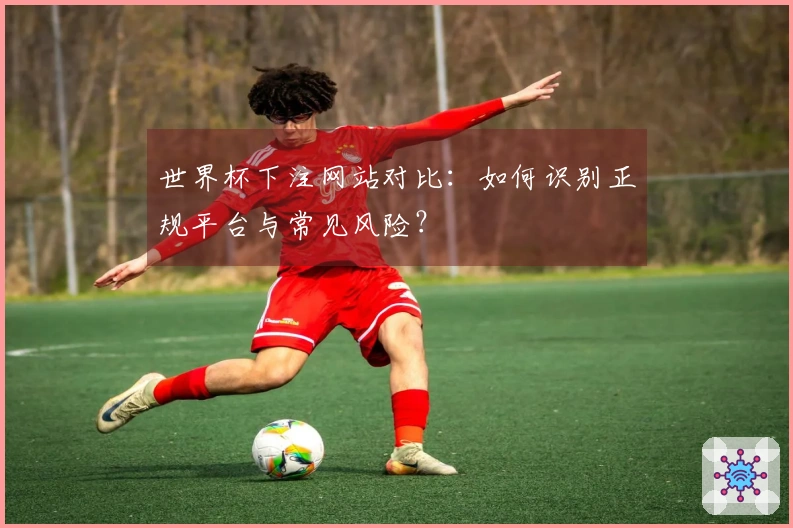 世界杯下注网站对比：如何识别正规平台与常见风险？