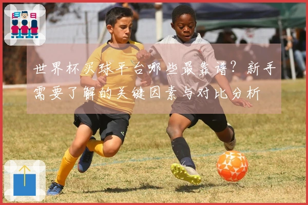 世界杯买球平台哪些最靠谱？新手需要了解的关键因素与对比分析