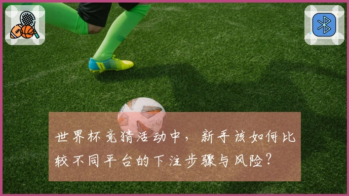 世界杯竞猜活动中，新手该如何比较不同平台的下注步骤与风险？