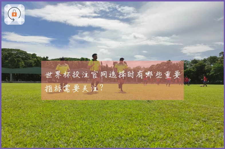 世界杯投注官网选择时有哪些重要指标需要关注？