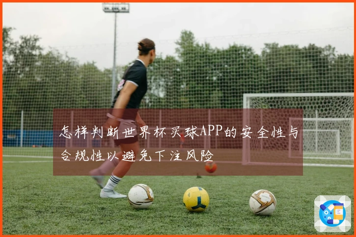 怎样判断世界杯买球APP的安全性与合规性以避免下注风险