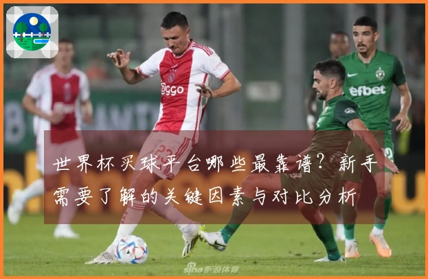 世界杯买球平台哪些最靠谱？新手需要了解的关键因素与对比分析