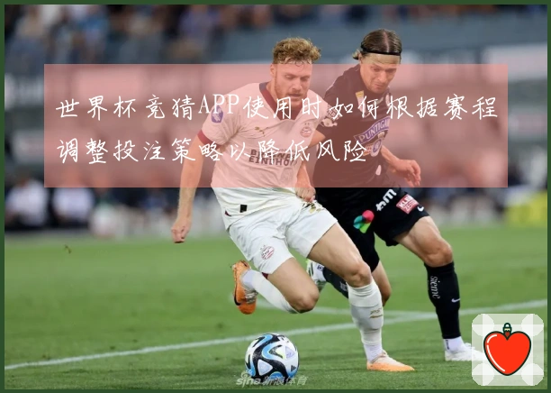 世界杯竞猜APP使用时如何根据赛程调整投注策略以降低风险