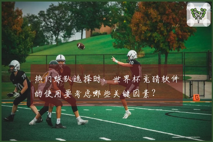 热门球队选择时，世界杯竞猜软件的使用要考虑哪些关键因素？