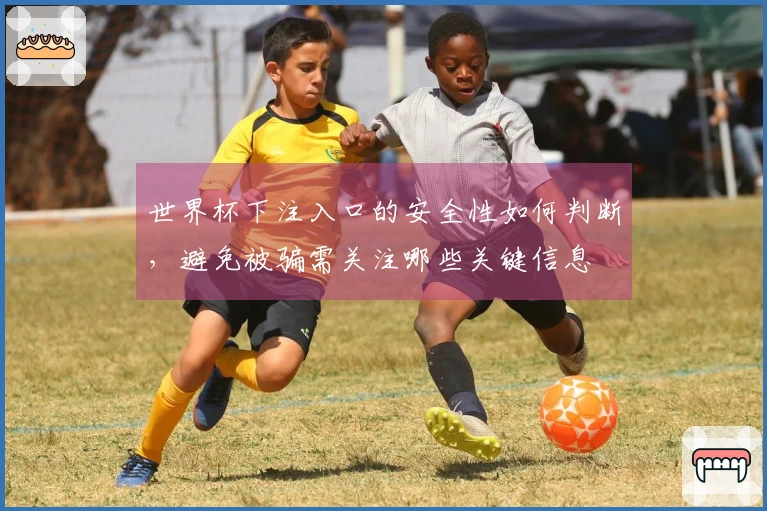 世界杯下注入口的安全性如何判断，避免被骗需关注哪些关键信息