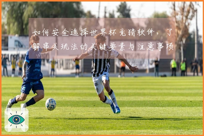 如何安全选择世界杯竞猜软件，了解串关玩法的关键要素与注意事项