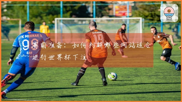 赛前准备：如何判断哪些网站适合进行世界杯下注