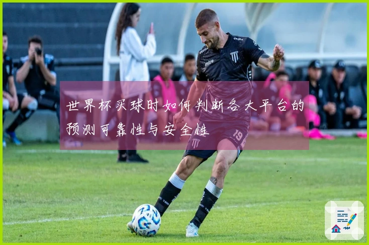 世界杯买球时如何判断各大平台的预测可靠性与安全性