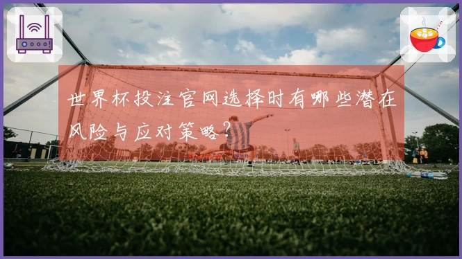 世界杯投注官网选择时有哪些潜在风险与应对策略？