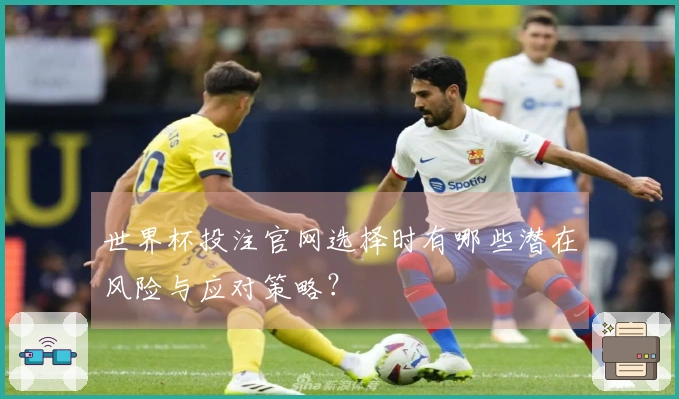 世界杯投注官网选择时有哪些潜在风险与应对策略？