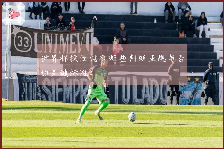世界杯投注站有哪些判断正规与否的关键标准？
