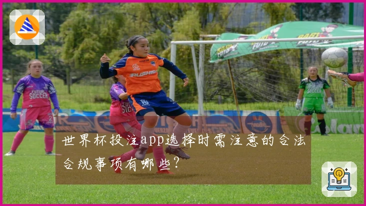 世界杯投注app选择时需注意的合法合规事项有哪些?