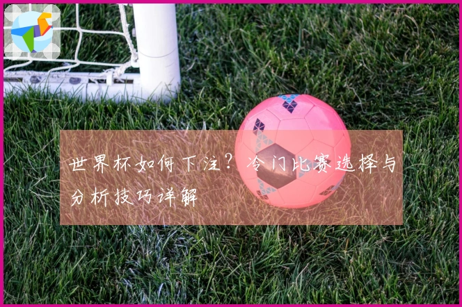 世界杯如何下注？冷门比赛选择与分析技巧详解