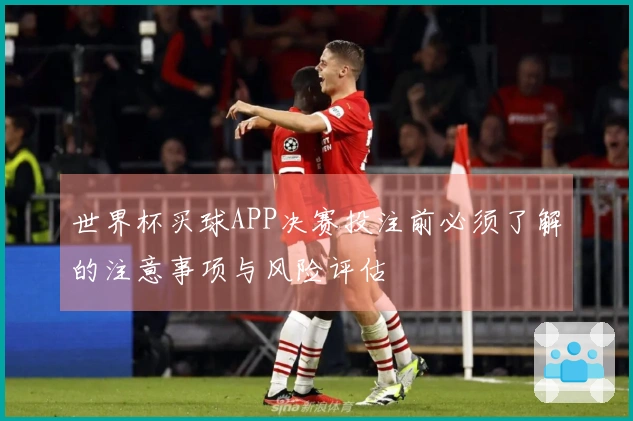 世界杯买球APP决赛投注前必须了解的注意事项与风险评估