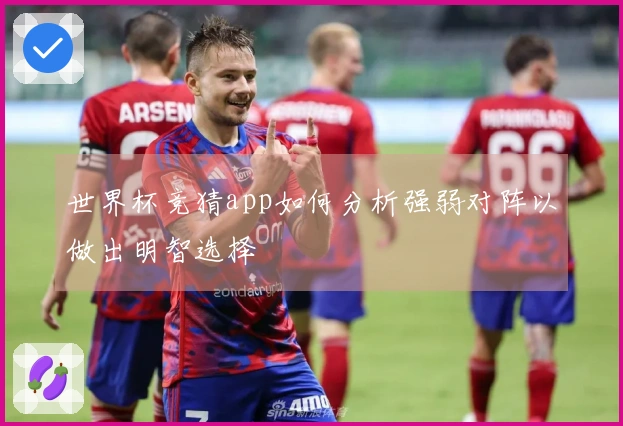 世界杯竞猜app如何分析强弱对阵以做出明智选择