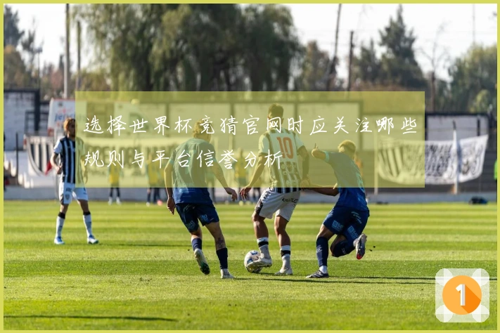 选择世界杯竞猜官网时应关注哪些规则与平台信誉分析