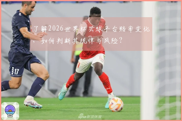 了解2026世界杯买球平台赔率变化，如何判断其规律与风险？