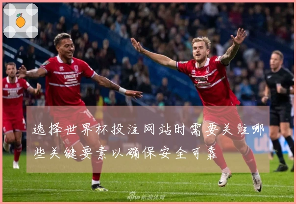 选择世界杯投注网站时需要关注哪些关键要素以确保安全可靠