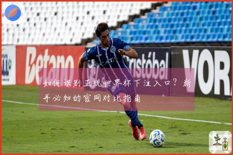 如何识别正规世界杯下注入口？新手必知的官网对比指南