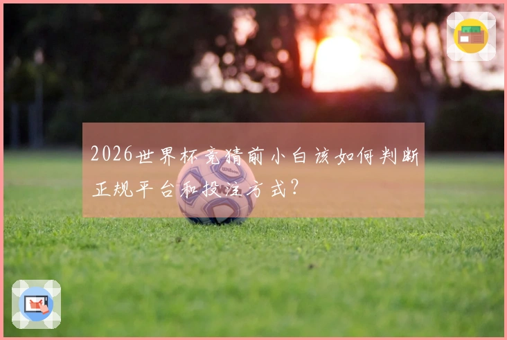 2026世界杯竞猜前小白该如何判断正规平台和投注方式？