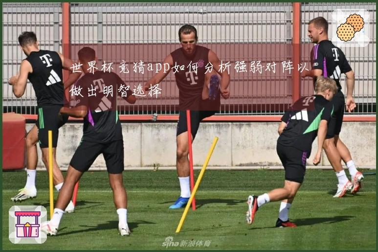 世界杯竞猜app如何分析强弱对阵以做出明智选择