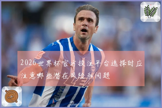 2026世界杯官方投注平台选择时应注意哪些潜在风险和问题